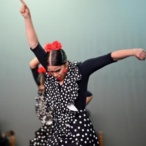 Fotografía de Muestra Baile Flamenco - Conservatorio de Danza