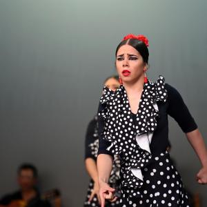 Fotografía de Muestra Baile Flamenco - Conservatorio de Danza