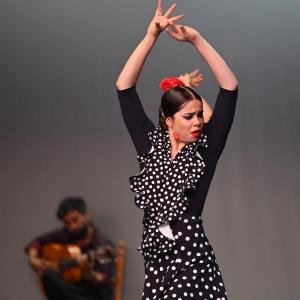Fotografía de Muestra Baile Flamenco - Conservatorio de Danza