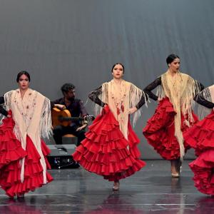 Fotografía de Muestra Baile Flamenco - Conservatorio de Danza