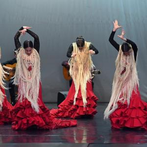 Fotografía de Muestra Baile Flamenco - Conservatorio de Danza
