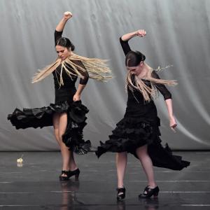 Fotografía de Muestra Baile Flamenco - Conservatorio de Danza