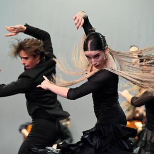 Fotografía de Muestra Baile Flamenco - Conservatorio de Danza