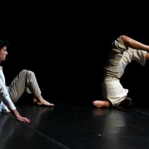 Fotografía de Surfeando la herencia (estreno) - Conservatorio de Danza