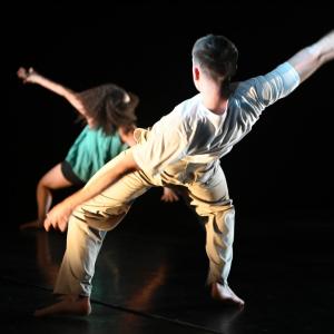 Fotografía de Surfeando la herencia (estreno) - Conservatorio de Danza