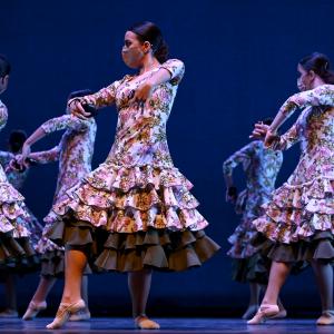 Fotografía de Talleres Coreográficos, Danza española - Conservatorio de Danza