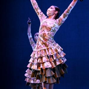 Fotografía de Talleres Coreográficos, Danza española - Conservatorio de Danza