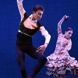 Fotografía de Talleres Coreográficos, Danza española - Conservatorio de Danza
