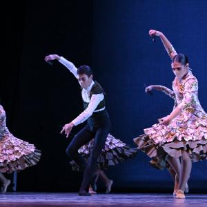 Fotografía de Talleres Coreográficos, Danza española - Conservatorio de Danza
