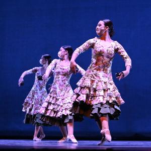 Fotografía de Talleres Coreográficos, Danza española - Conservatorio de Danza