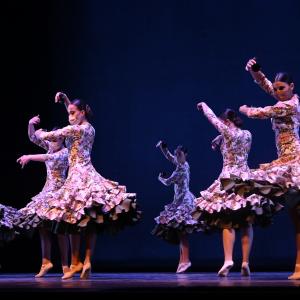 Fotografía de Talleres Coreográficos, Danza española - Conservatorio de Danza