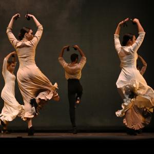 Fotografía de Talleres Coreográficos, Danza española - Conservatorio de Danza