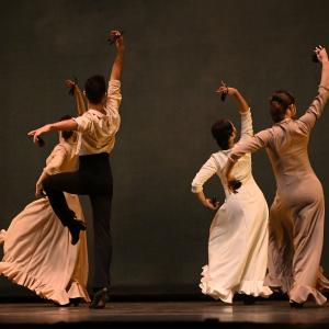 Fotografía de Talleres Coreográficos, Danza española - Conservatorio de Danza
