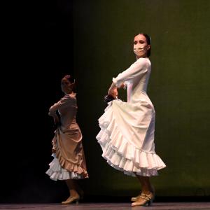 Fotografía de Talleres Coreográficos, Danza española - Conservatorio de Danza