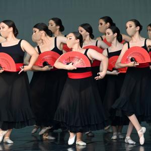 Fotografía de Talleres Coreográficos, Baile Flamenco - Conservatorio de Danza