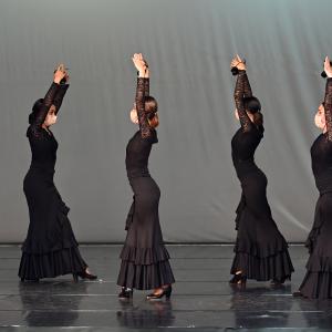 Fotografía de Talleres Coreográficos, Baile Flamenco - Conservatorio de Danza