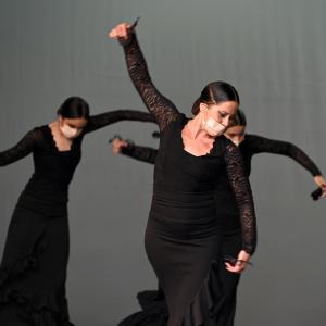 Fotografía de Talleres Coreográficos, Baile Flamenco - Conservatorio de Danza
