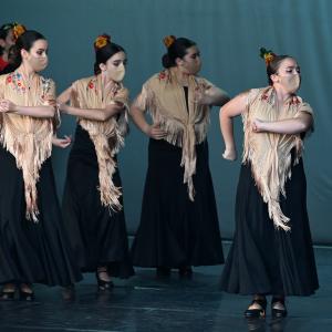 Fotografía de Talleres Coreográficos, Baile Flamenco - Conservatorio de Danza