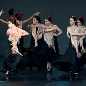 Fotografía de Talleres Coreográficos, Baile Flamenco - Conservatorio de Danza