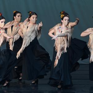 Fotografía de Talleres Coreográficos, Baile Flamenco - Conservatorio de Danza