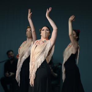 Fotografía de Talleres Coreográficos, Baile Flamenco - Conservatorio de Danza