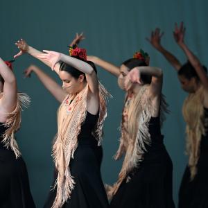 Fotografía de Talleres Coreográficos, Baile Flamenco - Conservatorio de Danza