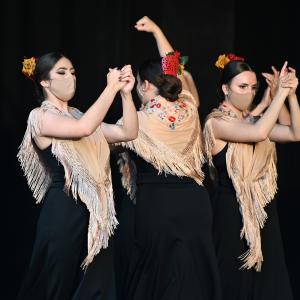Fotografía de Talleres Coreográficos, Baile Flamenco - Conservatorio de Danza