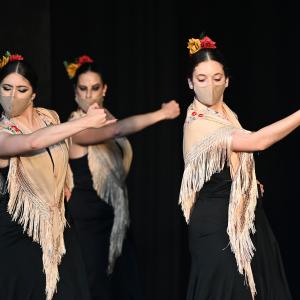 Fotografía de Talleres Coreográficos, Baile Flamenco - Conservatorio de Danza