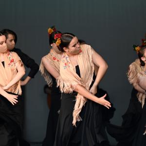 Fotografía de Talleres Coreográficos, Baile Flamenco - Conservatorio de Danza