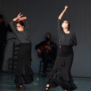 Fotografía de Talleres Coreográficos, Baile Flamenco - Conservatorio de Danza