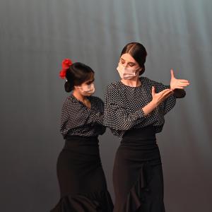 Fotografía de Talleres Coreográficos, Baile Flamenco - Conservatorio de Danza