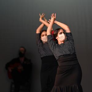 Fotografía de Talleres Coreográficos, Baile Flamenco - Conservatorio de Danza