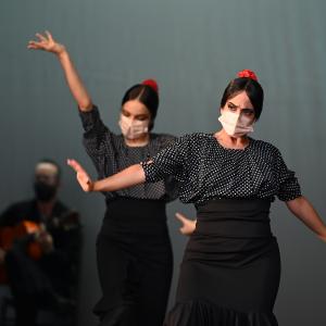 Fotografía de Talleres Coreográficos, Baile Flamenco - Conservatorio de Danza