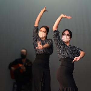Fotografía de Talleres Coreográficos, Baile Flamenco - Conservatorio de Danza