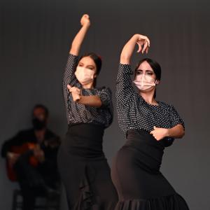 Fotografía de Talleres Coreográficos, Baile Flamenco - Conservatorio de Danza