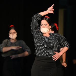 Fotografía de Talleres Coreográficos, Baile Flamenco - Conservatorio de Danza