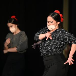Fotografía de Talleres Coreográficos, Baile Flamenco - Conservatorio de Danza