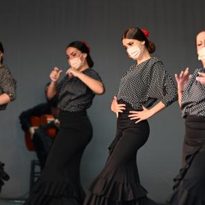 Fotografía de Talleres Coreográficos, Baile Flamenco - Conservatorio de Danza