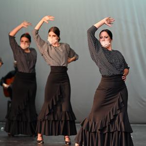 Fotografía de Talleres Coreográficos, Baile Flamenco - Conservatorio de Danza