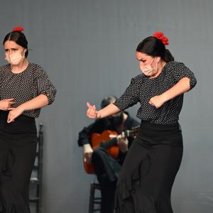 Fotografía de Talleres Coreográficos, Baile Flamenco - Conservatorio de Danza