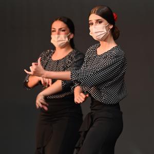 Fotografía de Talleres Coreográficos, Baile Flamenco - Conservatorio de Danza