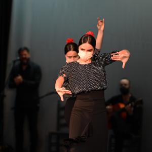 Fotografía de Talleres Coreográficos, Baile Flamenco - Conservatorio de Danza