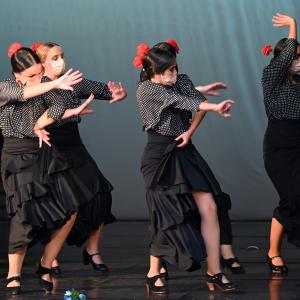Fotografía de Talleres Coreográficos, Baile Flamenco - Conservatorio de Danza