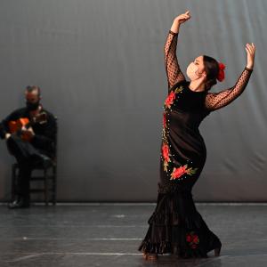 Fotografía de Talleres Coreográficos, Baile Flamenco - Conservatorio de Danza