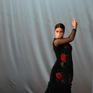 Fotografía de Talleres Coreográficos, Baile Flamenco - Conservatorio de Danza