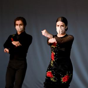 Fotografía de Talleres Coreográficos, Baile Flamenco - Conservatorio de Danza