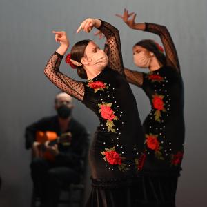 Fotografía de Talleres Coreográficos, Baile Flamenco - Conservatorio de Danza