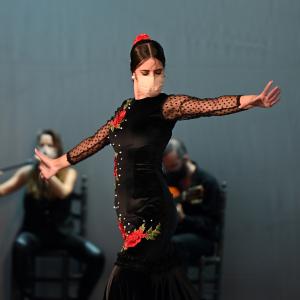 Fotografía de Talleres Coreográficos, Baile Flamenco - Conservatorio de Danza