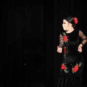Fotografía de Talleres Coreográficos, Baile Flamenco - Conservatorio de Danza