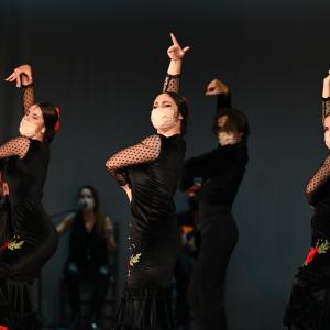 Fotografía de Talleres Coreográficos, Baile Flamenco - Conservatorio de Danza